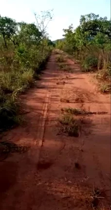 Imagem CASAL IMÓVEIS VENDE FAZENDA NO MARANHÃO COM 2.812 ALQUEIRES