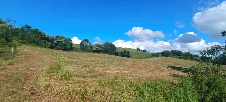 Imagem Área Agrícola para Venda em Arabuta, Sc-154