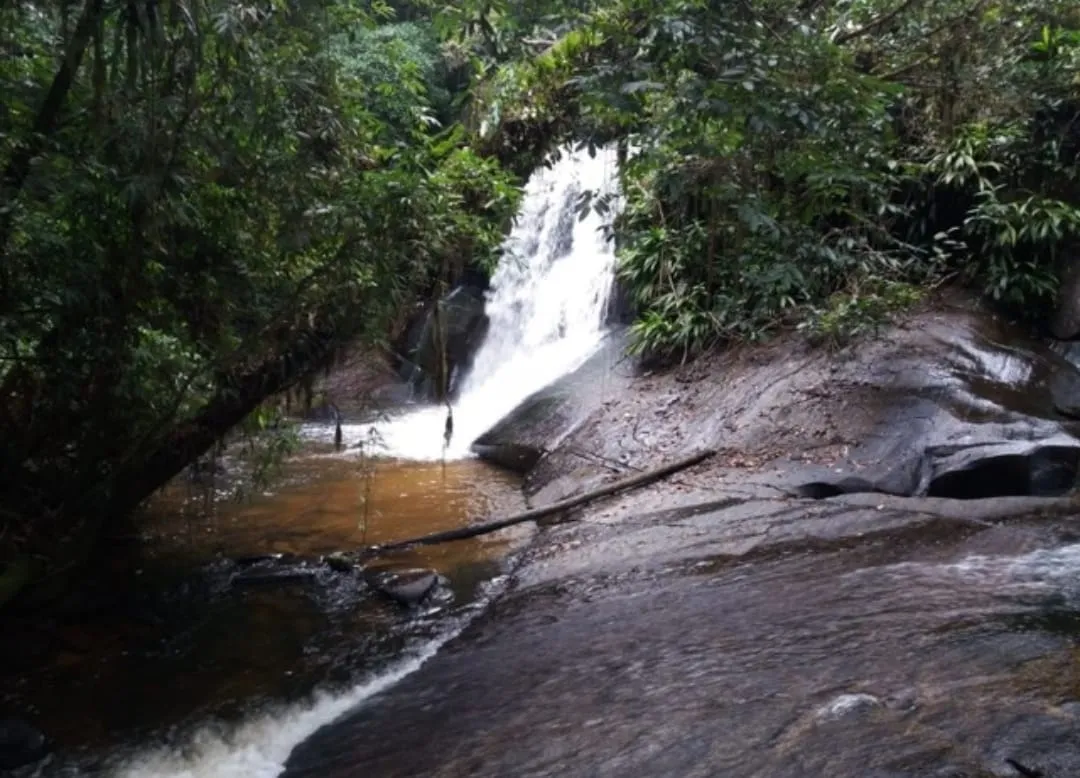 Imagem Chácara à venda 2 Quartos, 1 Suite, 170000M², Zona Rural, Paraibuna - SP