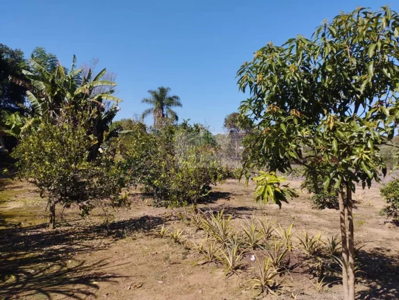 Imagem CHÁCARA JARDIM CANANÉIA COM RIO FUNDOS