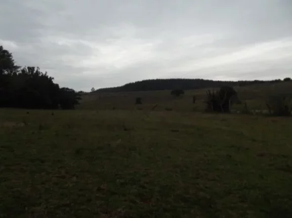 Imagem Sitio Rural com 10.8 hectares, Aguadas, Costa do Oveiro, Viamão/RS
