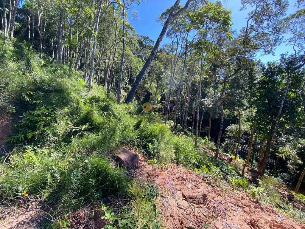 Imagem Terreno em Condomínio para Venda em Teresópolis / RJ no bairro Carlos Guinle