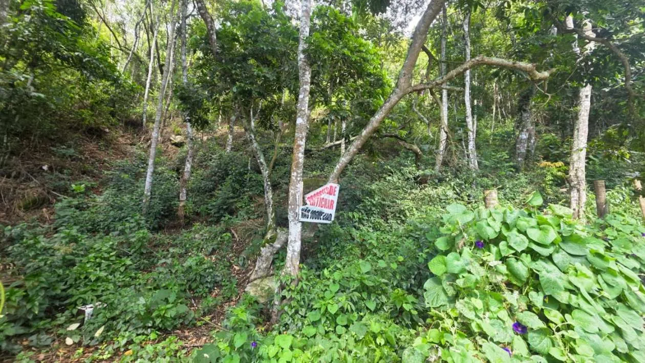 Imagem Terreno para Venda em Teresópolis / RJ no bairro Golfe
