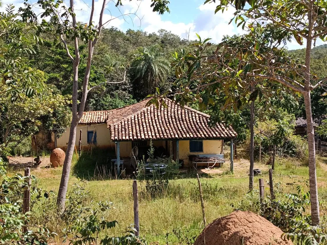 Foto do imóvel FAZENDA À VENDA EM SANTANA DO PIRAPAMA ? MG , com 338 hectares de terra