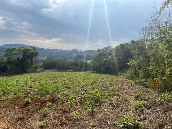 Imagem Terreno para Venda em Concórdia, Rural