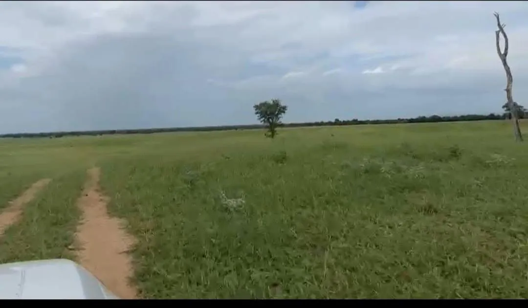 Imagem Vendo excelente fazenda em Jaíba/MG ?área total de 3.150 hectares
