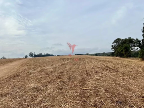 Imagem Vendo excelente Fazenda com 70 alqueires ,no Alto da Serra, Brotas - SP