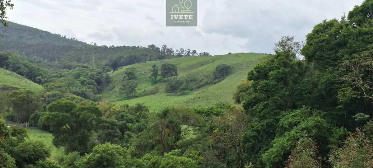 Imagem Ampla Área à Venda no Bairro da Lagoa - Socorro/SP