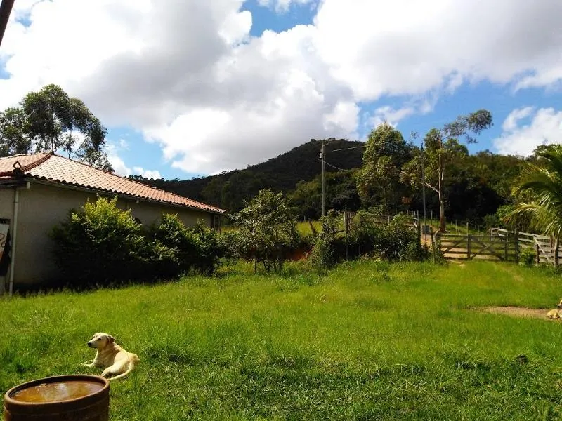 Imagem Vendo Sítio em Lagoa Dourada / MG , com 12.500 m² de área.