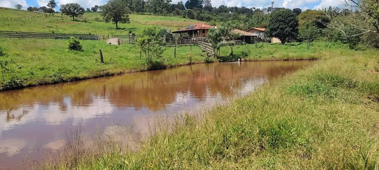 Imagem vendo um belo sítio em Piedade dos Gerais /MG com 12 hectares de terra ( 120.000 m² ),