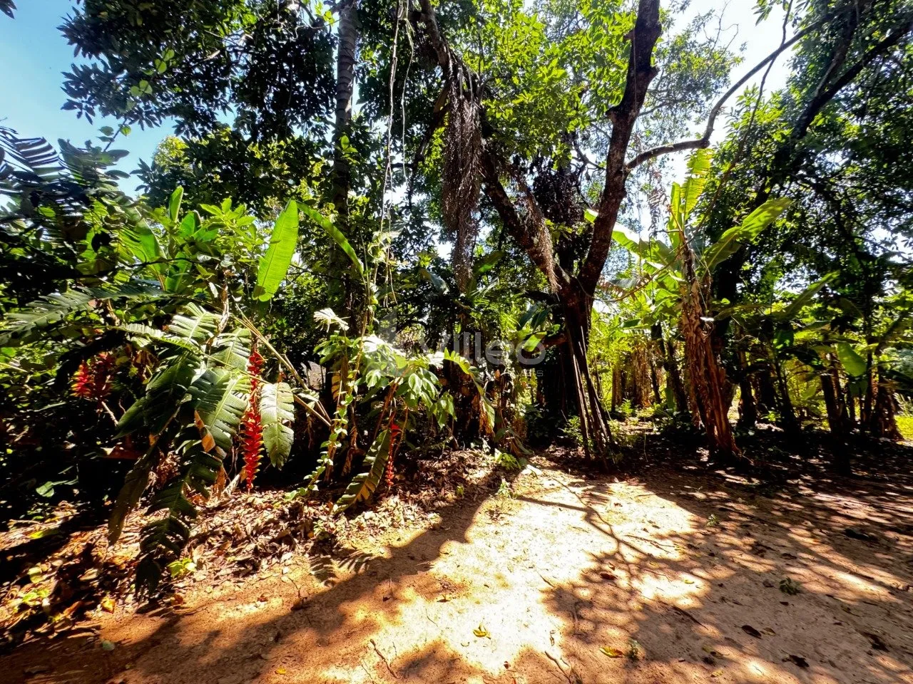 Imagem A área total disponível é de aproximadamente 4.000 m², com possibilidade de desmembramento em lo...