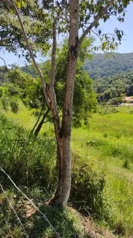 Imagem Chácara à venda 66000M², Barreiro, Taubaté - SP