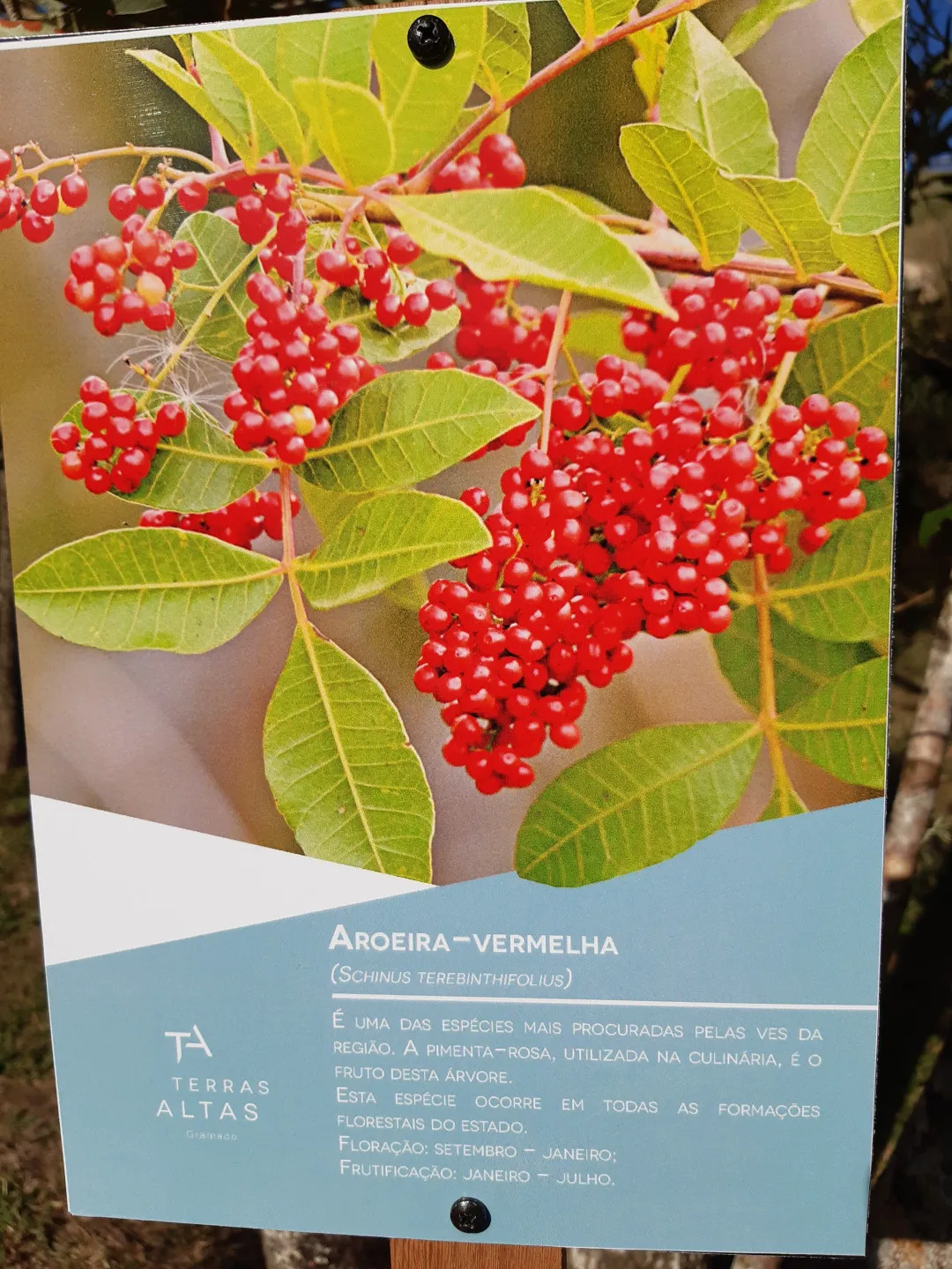 Imagem Lote à venda em Gramado, Portico, 652.39m2