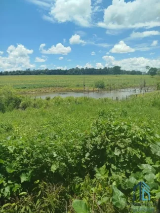 Imagem Fazenda/Sítio com 6 alqueires entre Ituaçu e Itaberaí 7 km de chão em Itaberaí em Goiânia GO