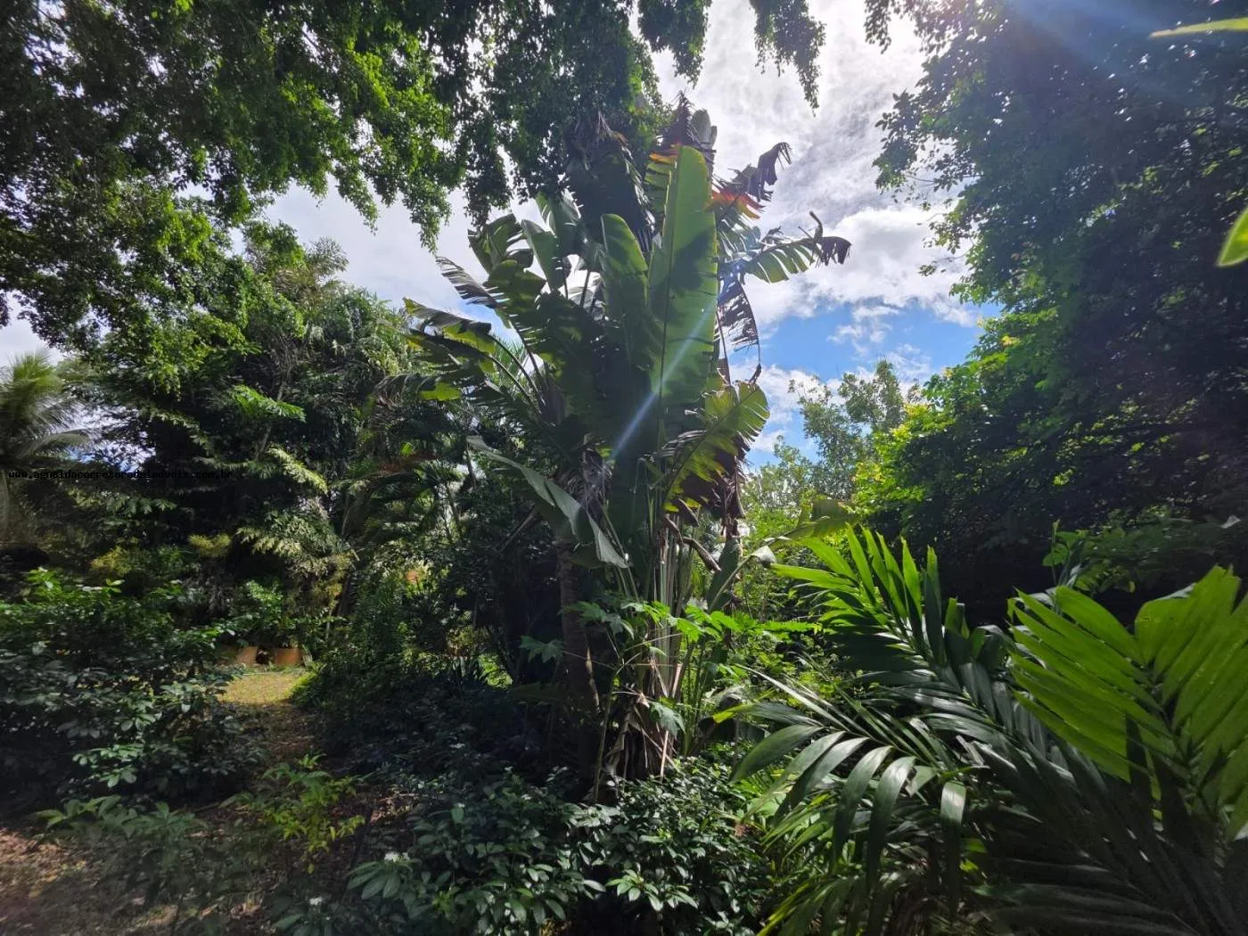 Imagem Granja para Venda em Macaíba, Zona de Expansão Urbana Sul, 2 dormitórios, 1 suíte, 2 banheiros, 5 vagas