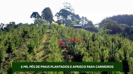 Imagem Chácara à venda em Mandirituba