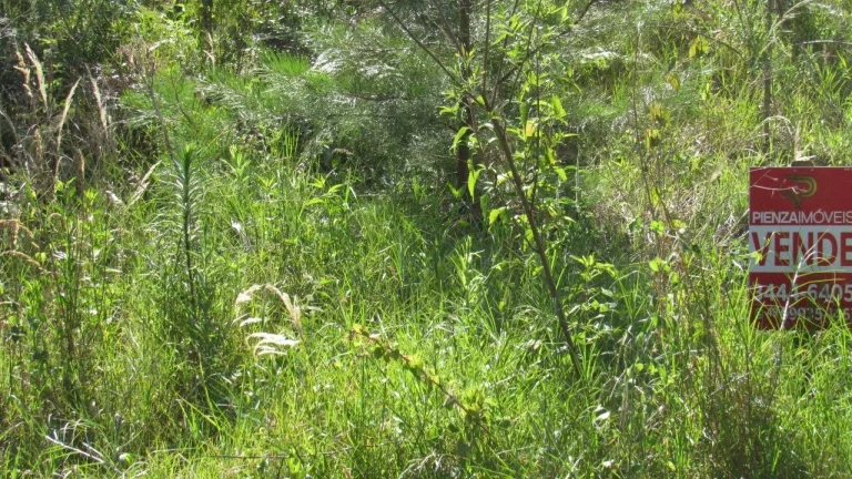 Imagem Terreno para Venda em Concórdia, Jardim
