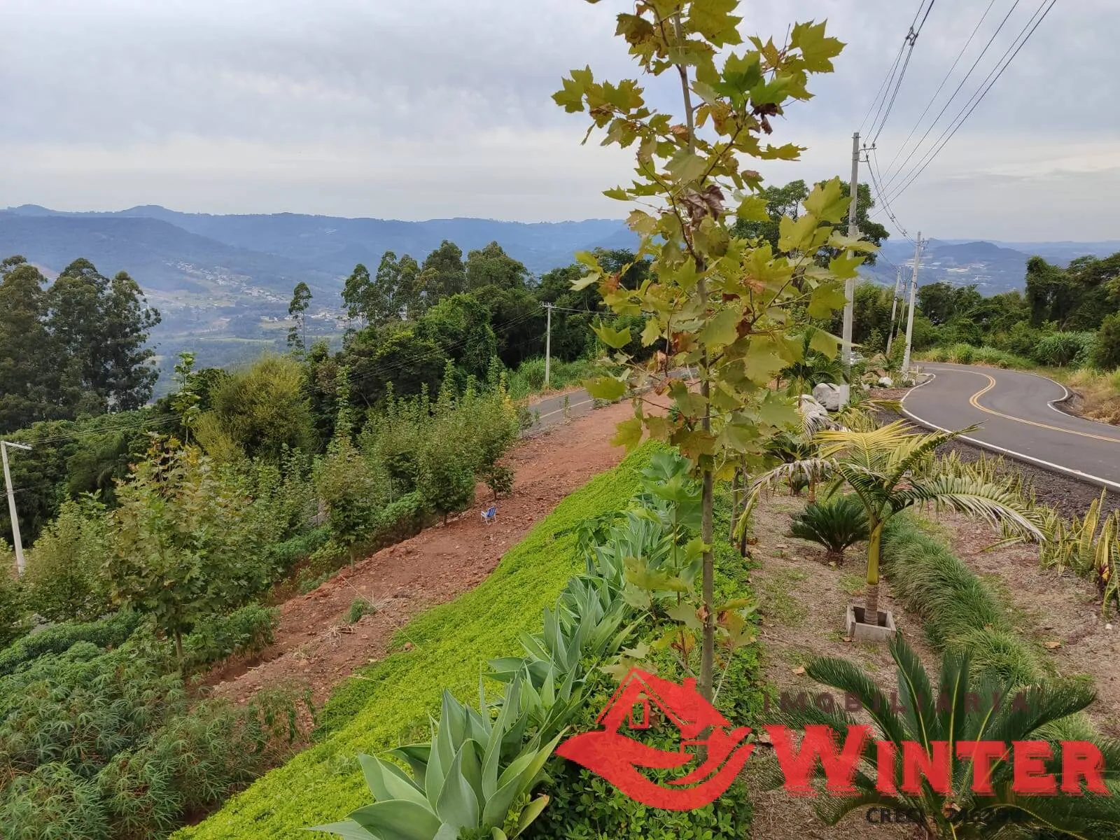 Imagem Linda área com 3471m² no Morro das Batatas, Feliz/RS