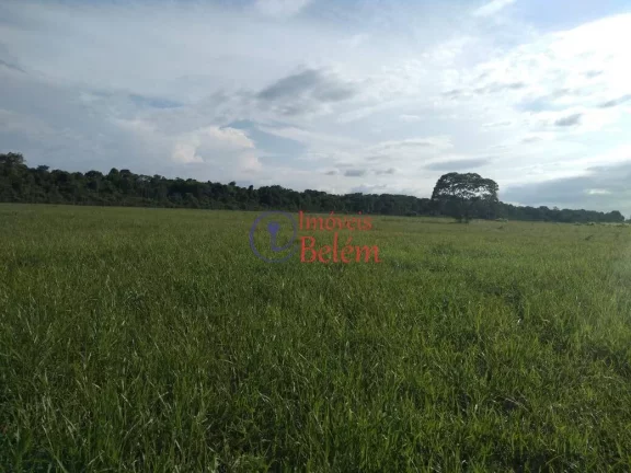 Imagem Imóveis Belém vende casa no município de Vigia de Nazaré.