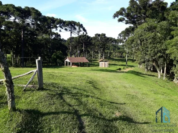 Chácara a venda, 142.134 M², Bugre, Balsa Nova PR