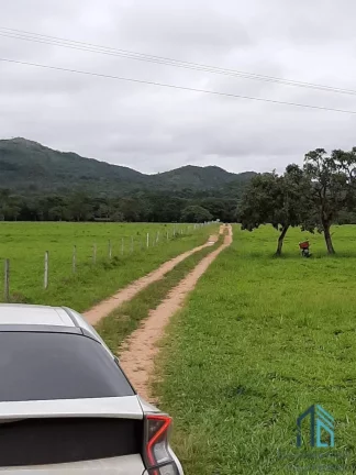 Imagem Fazenda linda 39 alqueires, com casa peão e casa sede, Município de Mossamedes GO
