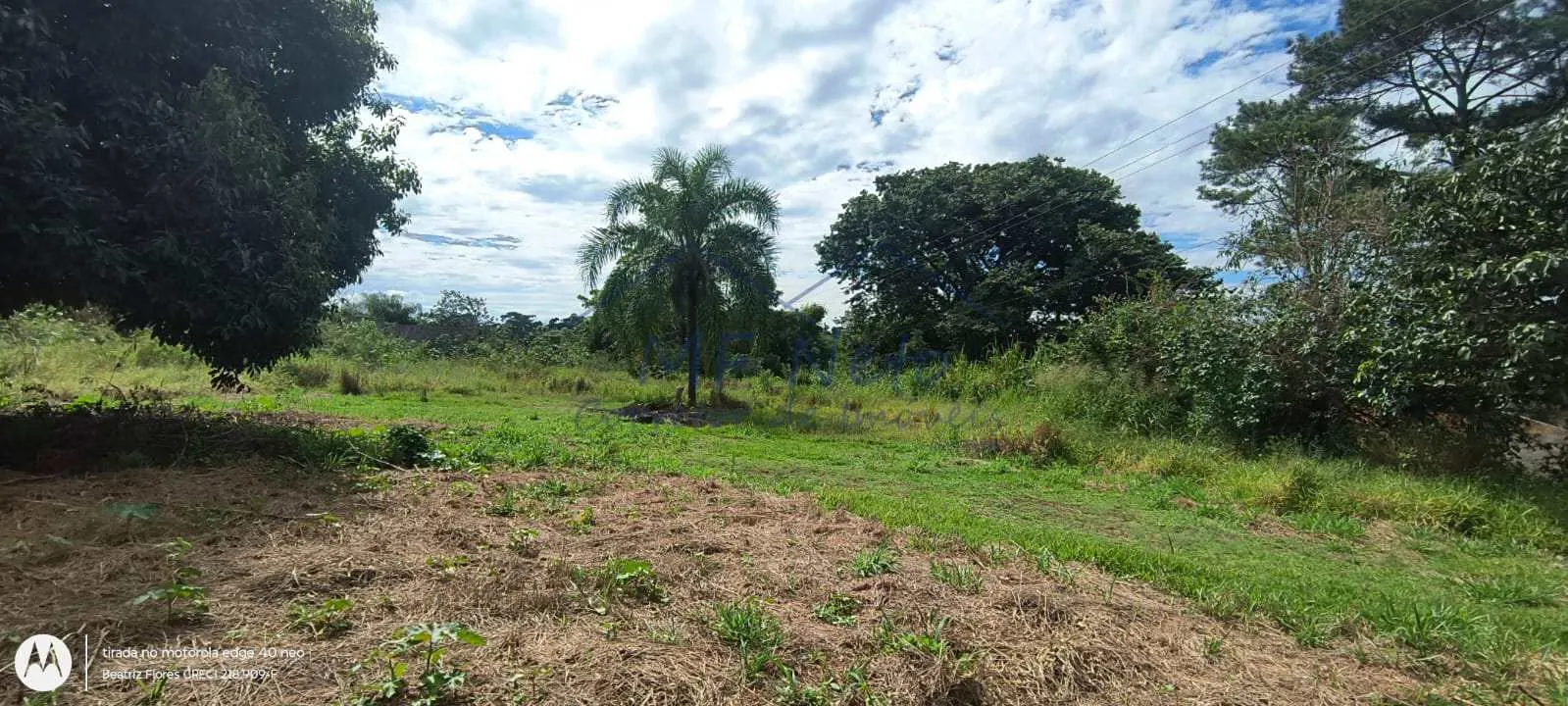 Imagem Terreno Padrão