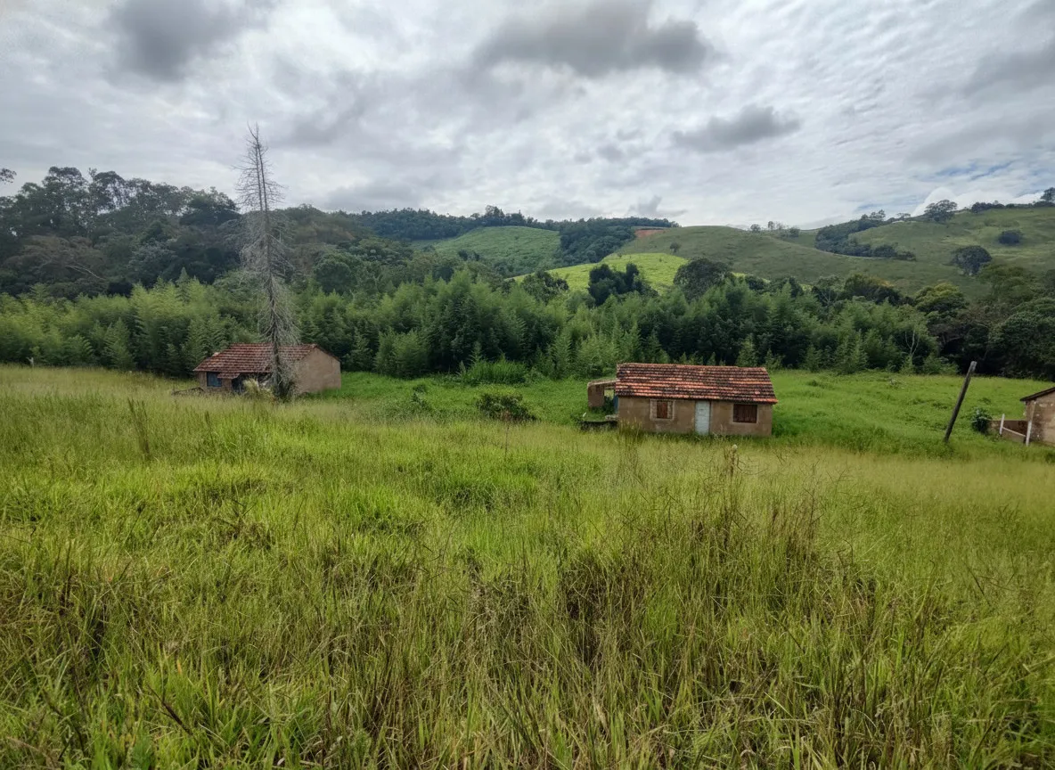 Imagem Fazenda 0,03 ha à venda em Zona Rural, Poços de Caldas