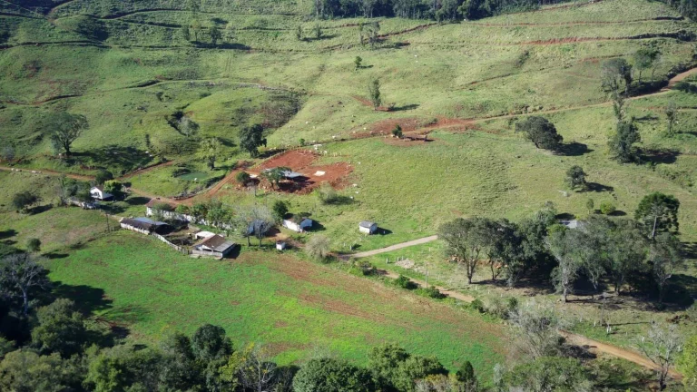 Imagem Fazenda para Venda em Concórdia, Interior