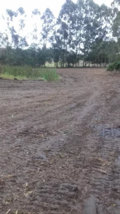 Imagem Terreno excelente a venda para Chácara com 8 mil m² no asfalto - em Quadra