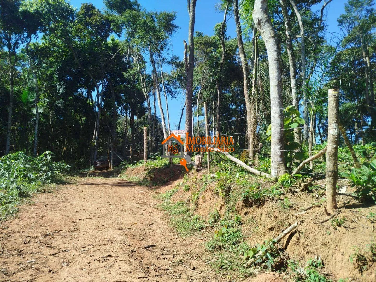 Imagem Terreno à venda, 3.068m² por R$ 212.000 - Parque Santos Dumont - Guarulhos/SP