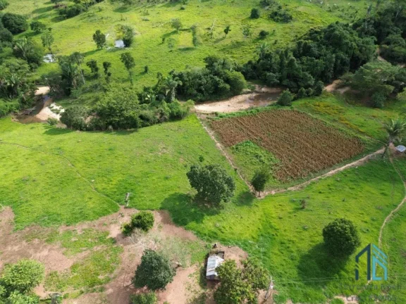 Foto do imóvel Fazenda localizada em Minaçu - GO a 70km da cidade de Goiânia - GO, com fácil acesso de carro.