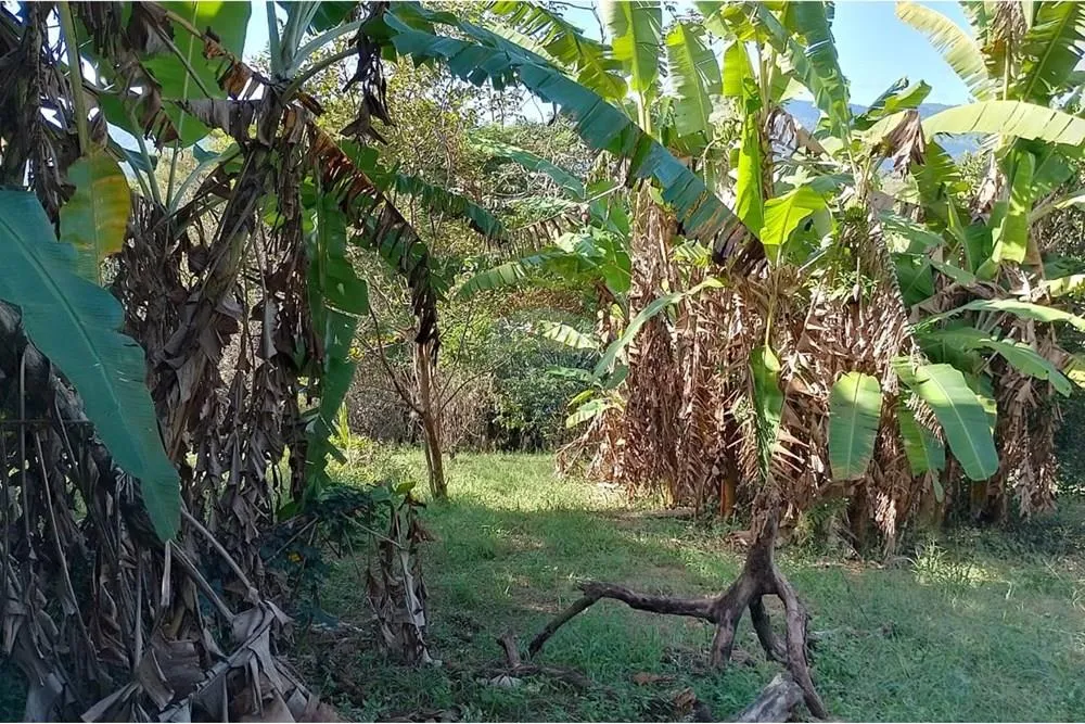 Imagem Terreno à Venda em Guaratiba