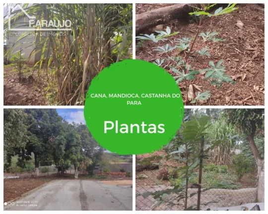 Imagem Chácara à venda em Salto de Pirapora com 5000m² 6 quartos, 35 vagas