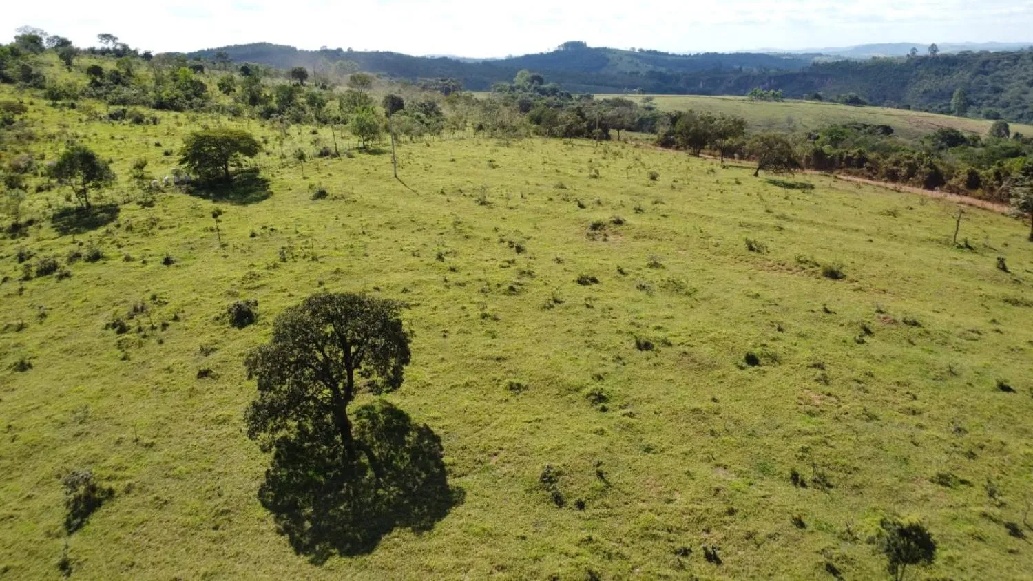 Imagem Excelente terreno rural com área de 10 hectares a venda em PASSA TEMPO/MG
