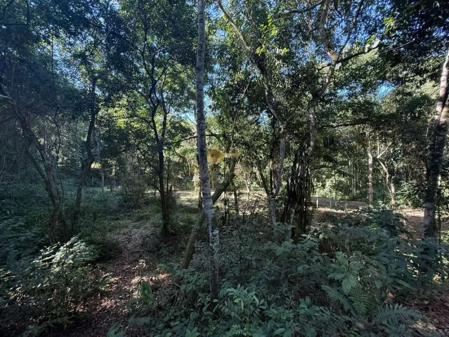 Imagem Sítio para Venda em Guapimirim / RJ no bairro Parque Nossa Senhora da Ajuda