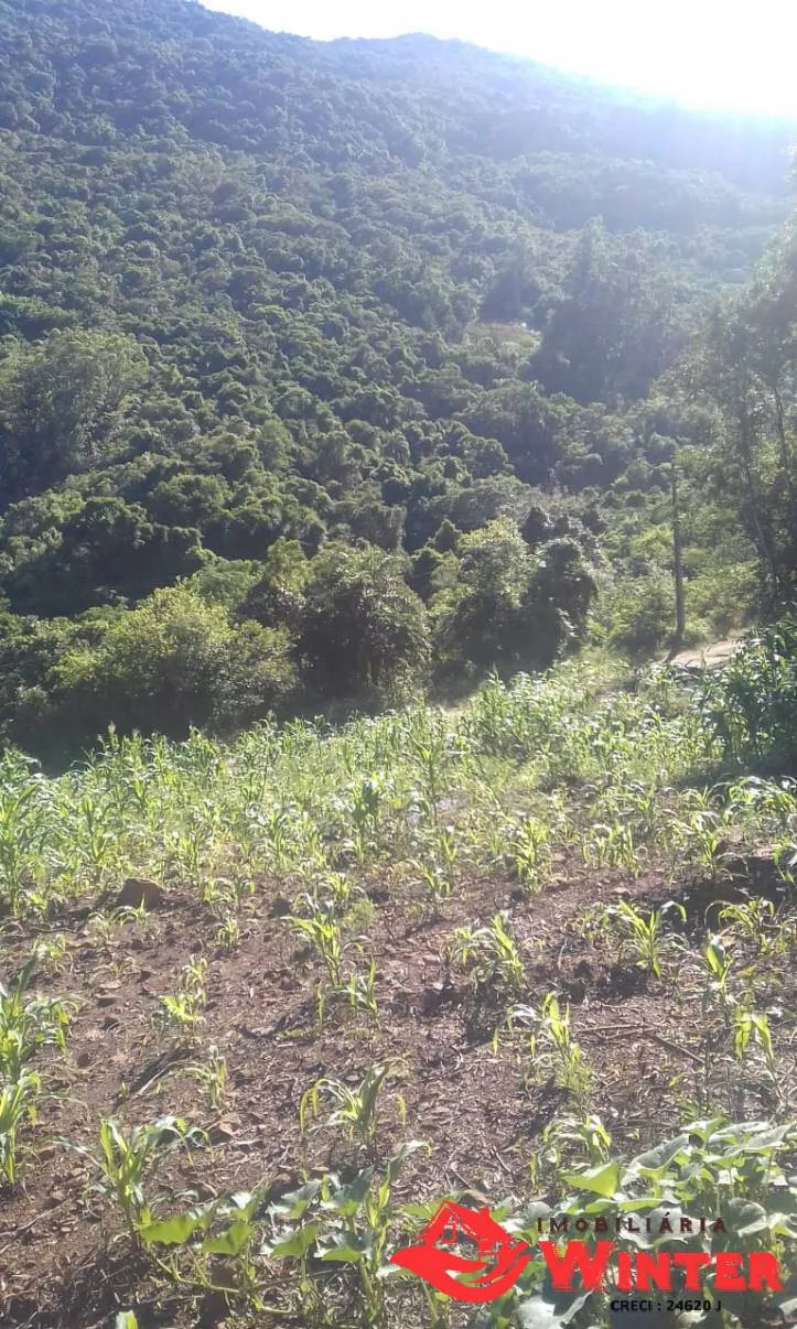 Imagem Aréa em área rural, Feliz.