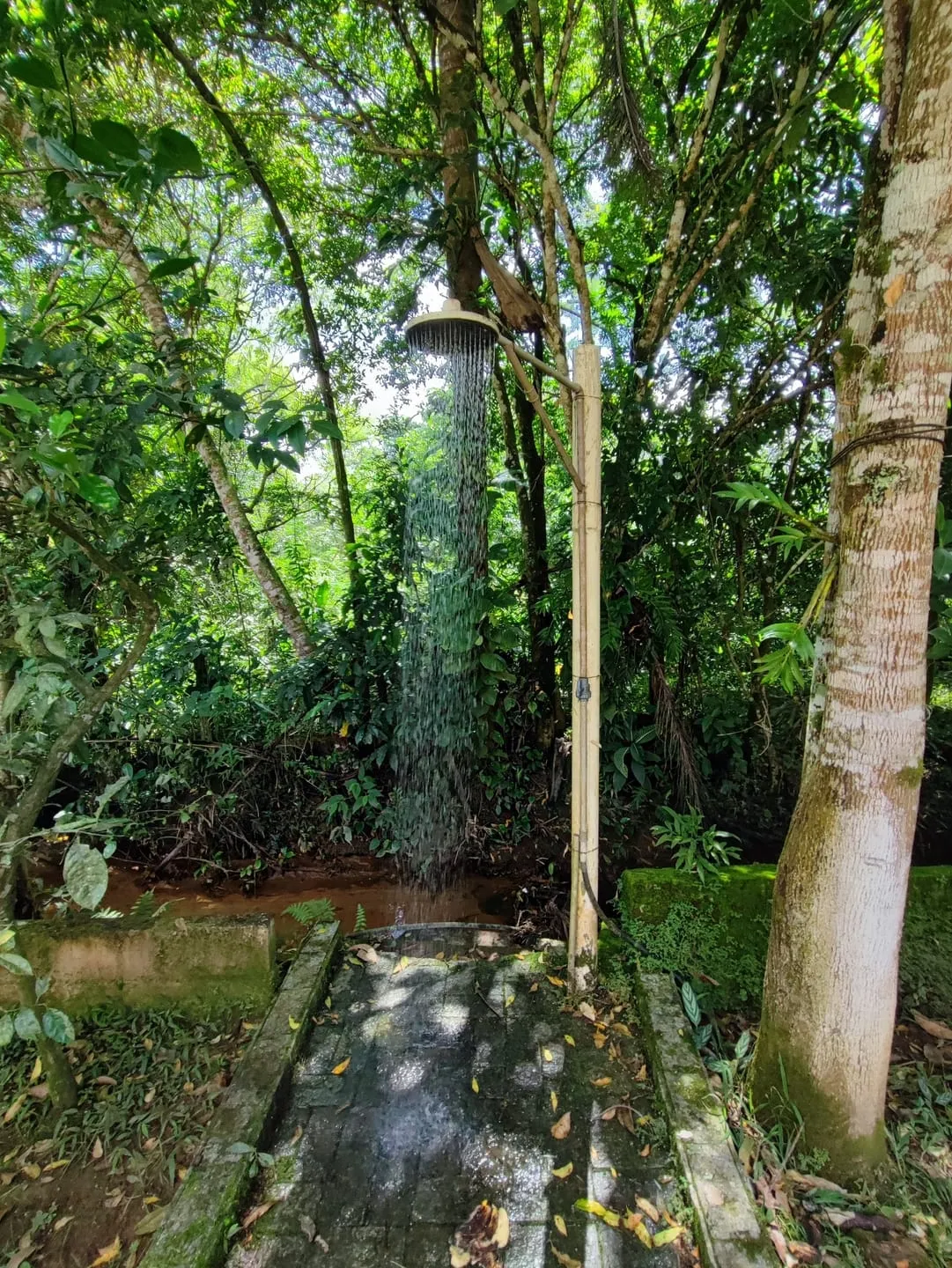 Imagem Chácara à venda 2 Quartos, 4 Vagas, 1200M², Ribeirão Grande, Pindamonhangaba - SP