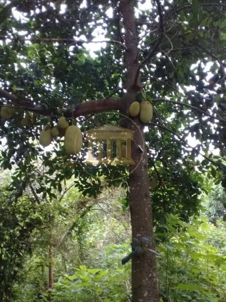 Imagem Casa à venda 2 Quartos, 1 Suite, 3 Vagas, 2000M², Água Preta, Pindamonhangaba - SP