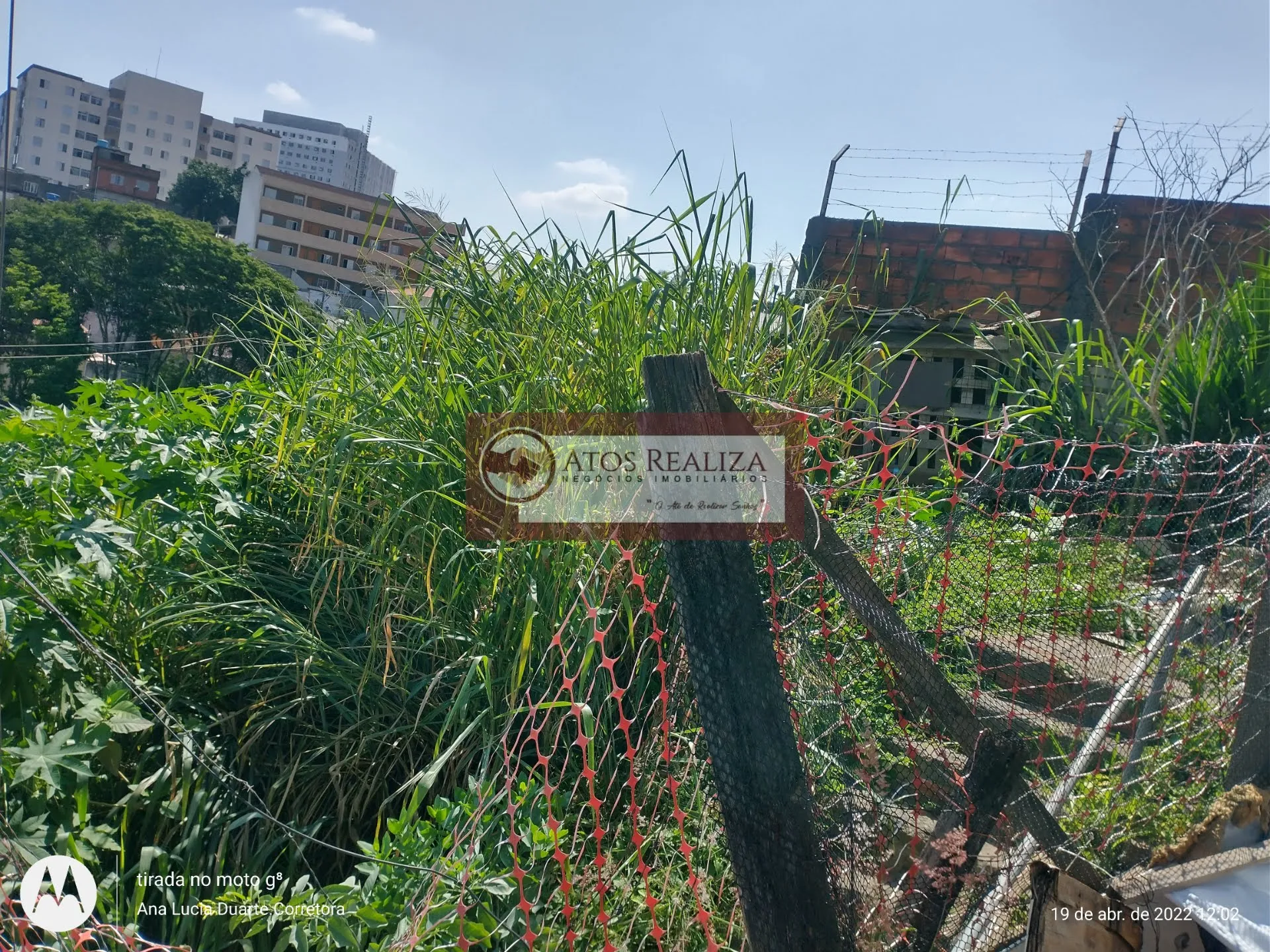 Imagem Casa térrea em Jardim Pedreira - São Paulo