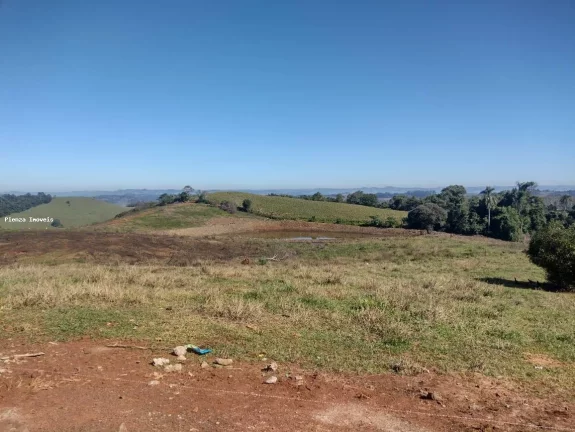 Imagem Granja para Venda em Seara, Interior