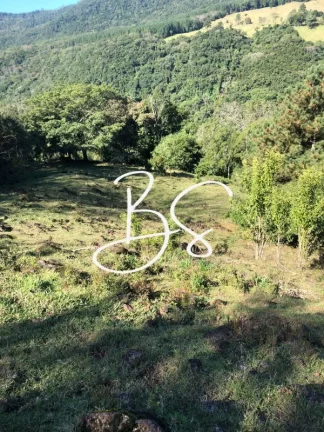 Imagem SITIO RURAL em SÃO FRANCISCO DE PAULA - RS, Padilha