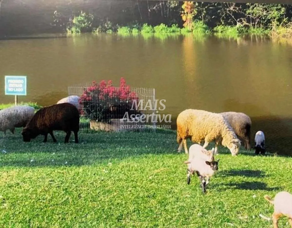 Imagem Terreno para Venda em Novo Hamburgo / RS no bairro Lomba Grande