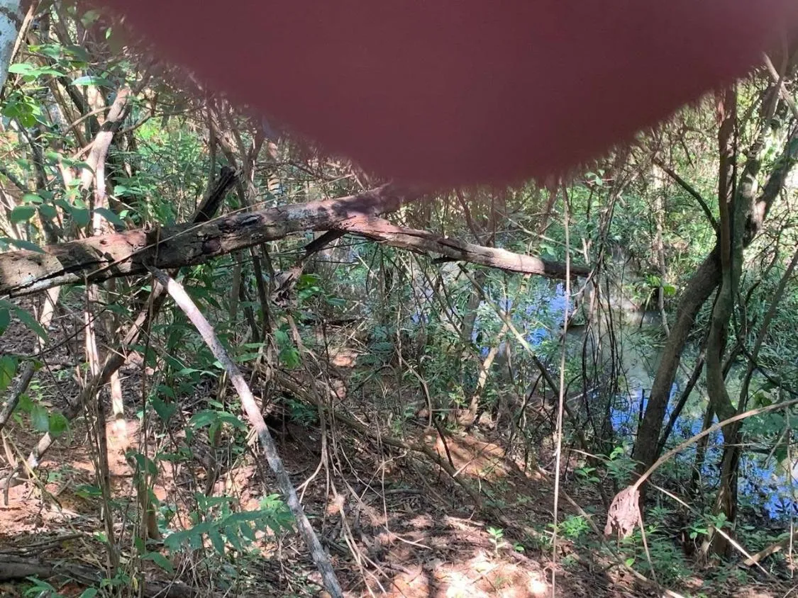 Imagem FAZENDA a venda 95ha em CURVELO/MG