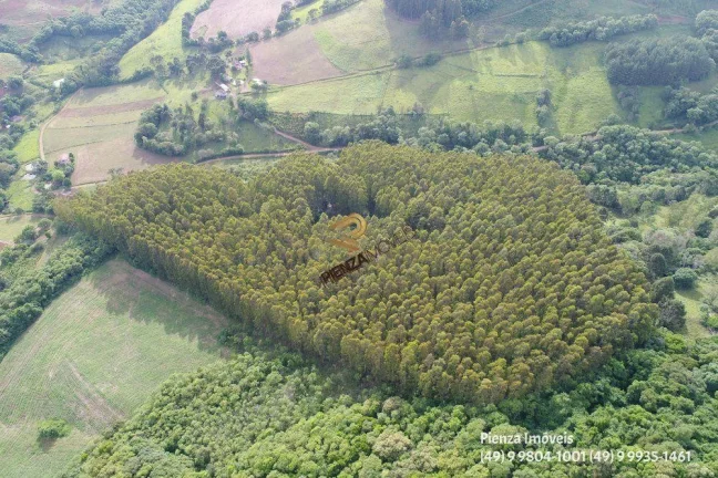 Imagem Terreno para Venda em Concórdia, Planalto