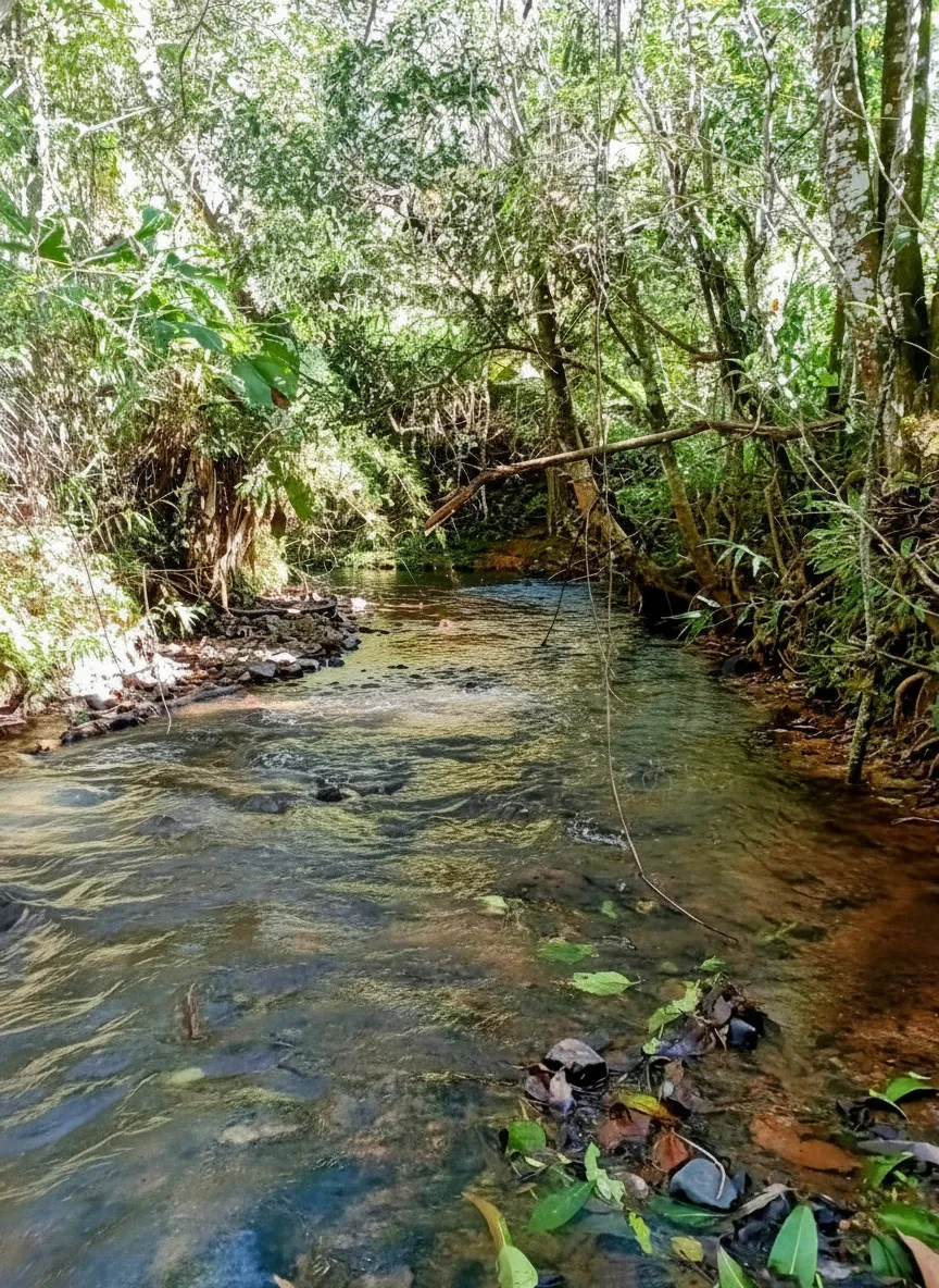 Imagem Chácara à venda em Campininhas, Caldas