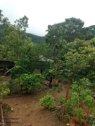 Imagem CHACARA RURAL em CALDAS - MG, LARANJEIRA