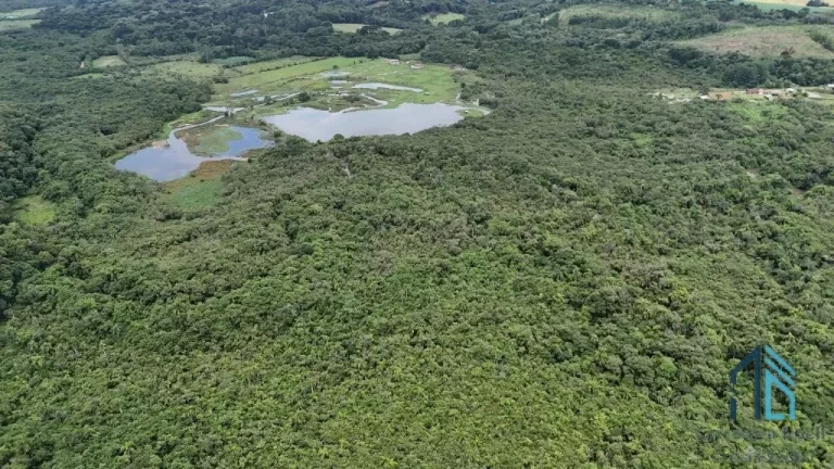 Imagem Área com 10 alqueires divisa com Rio Verde em Campo Largo - PR