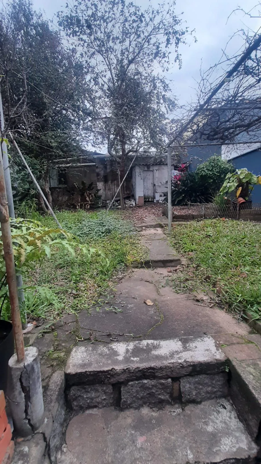 Imagem Terreno em Vila Ipiranga