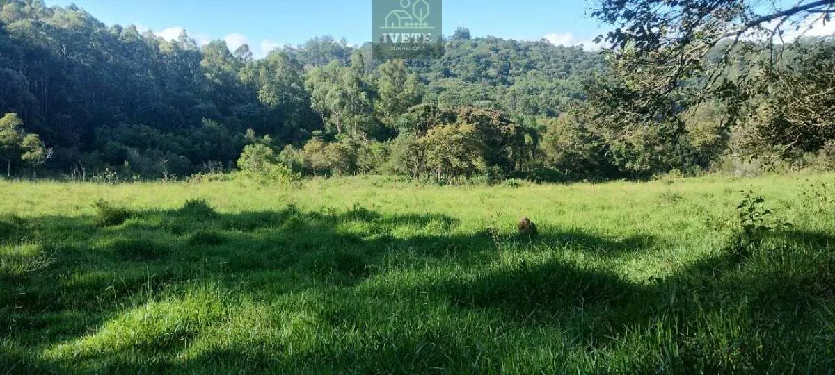 Imagem Ampla Área Rural à Venda em Pedra Bela/SP - Vista para a Pedra Maria Antônia
