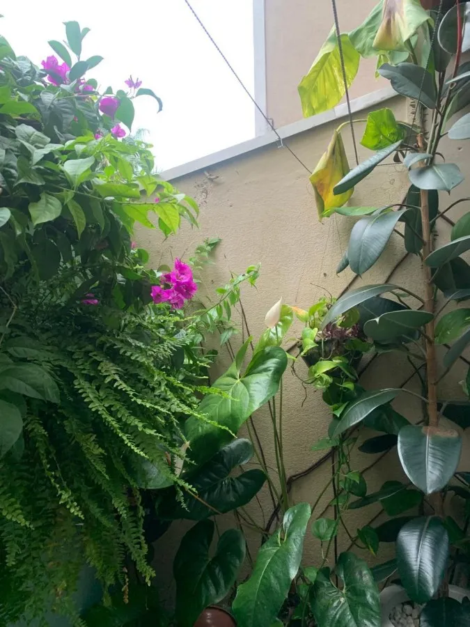 Imagem Apartamento com Terraço para Locação em Camboriú, Rio Pequeno, 2 dormitórios, 1 banheiro, 1 vaga